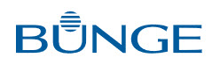 Bunge jobs